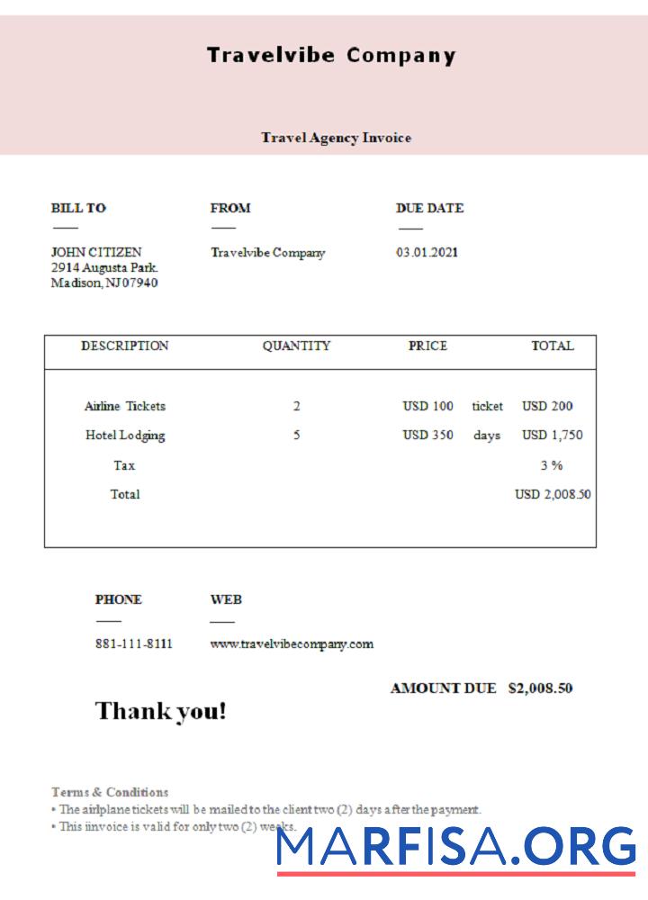 Printable USA Travelvibe Company invoice sample